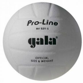 Мяч волейбольный Gala Pro-Line BV5211SAE